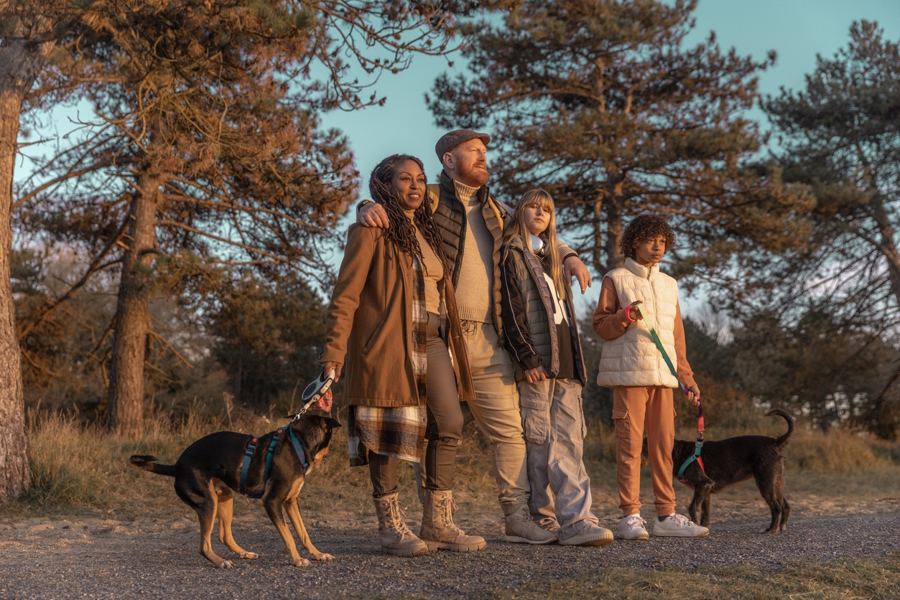 family walking dogs together