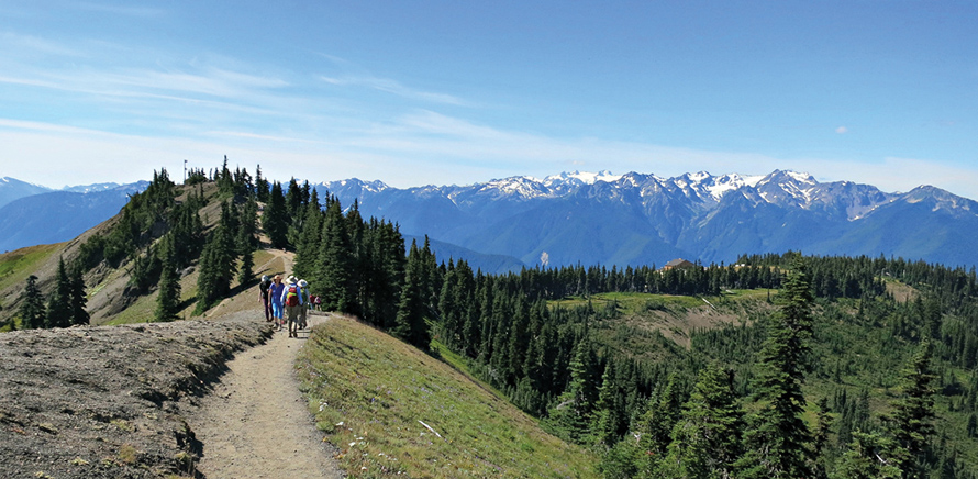 hurricane ridge