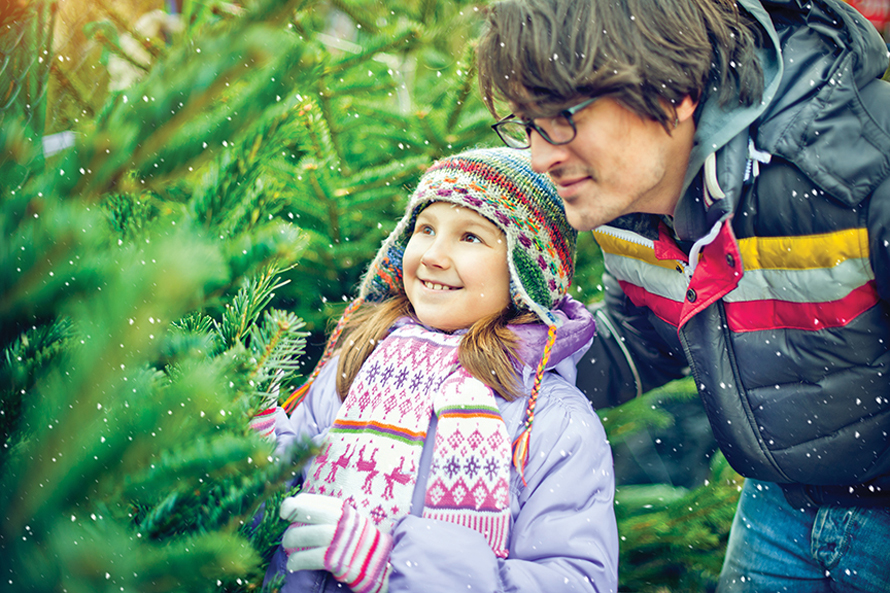 christmas tree shopping