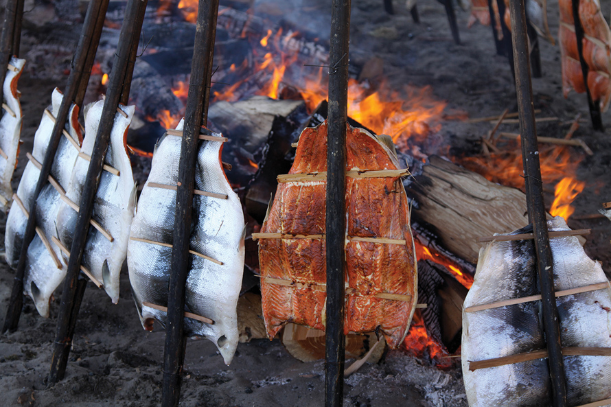 salmon steaks