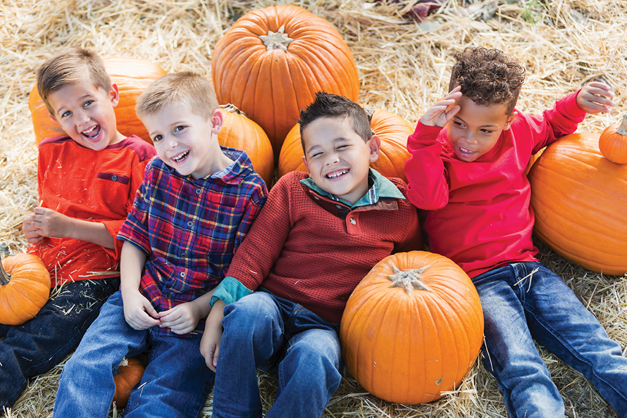 pumpkin patch boys