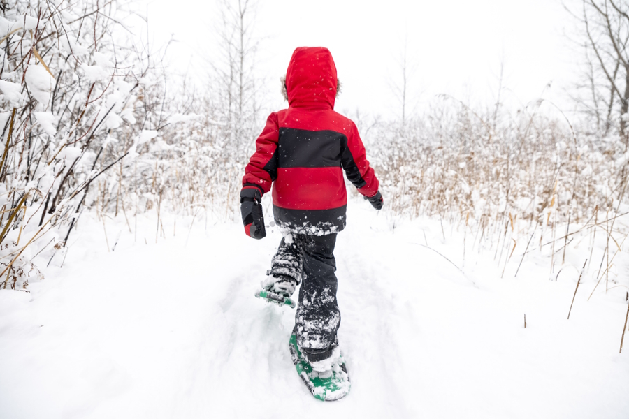 Child in a red jacket walking in the woods with snowshoes