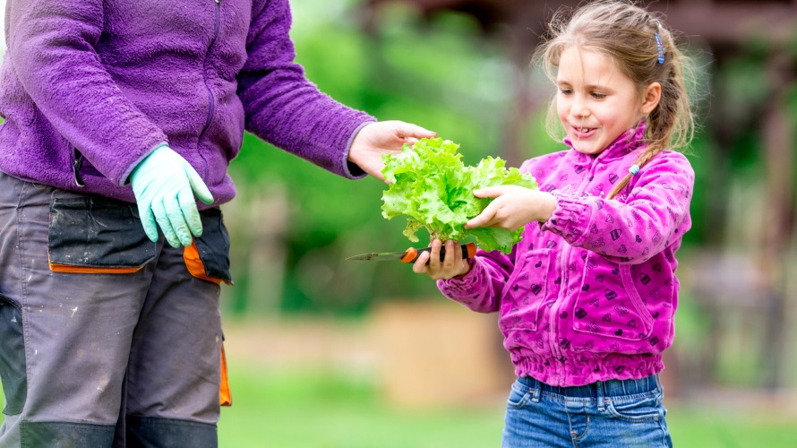 Kid with a lettuce