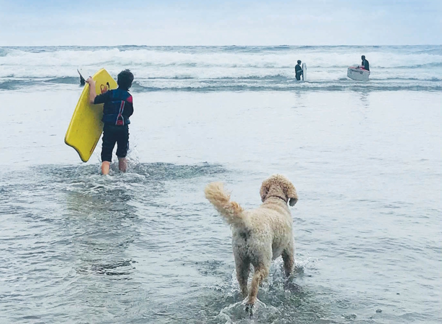 Manzanita beach Oregon