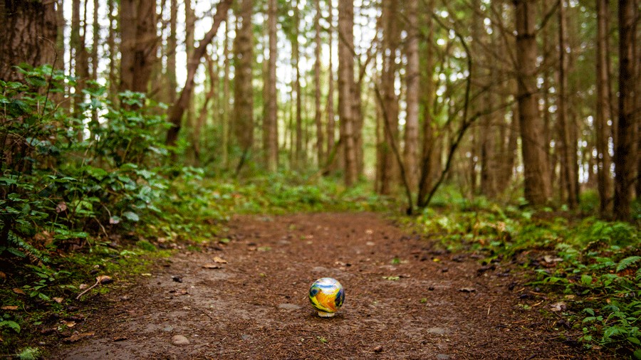 Handblown glass float on a trail on Camano Island