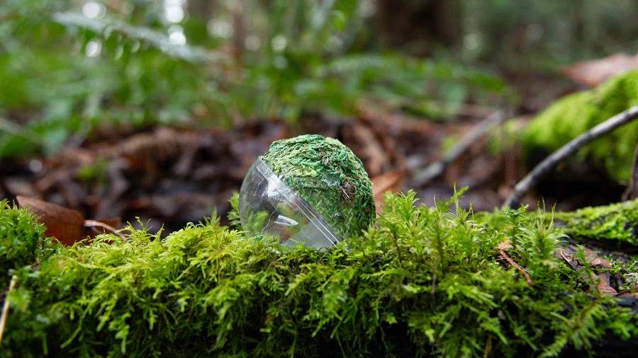 clue ball camouflaged for the Northwest Glass Quest on Camano Island and Stanwood