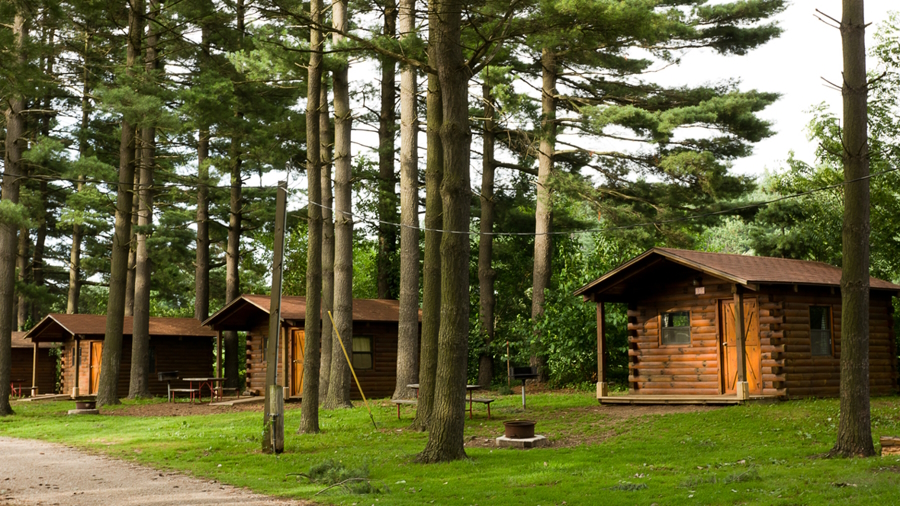 cabins in the woods