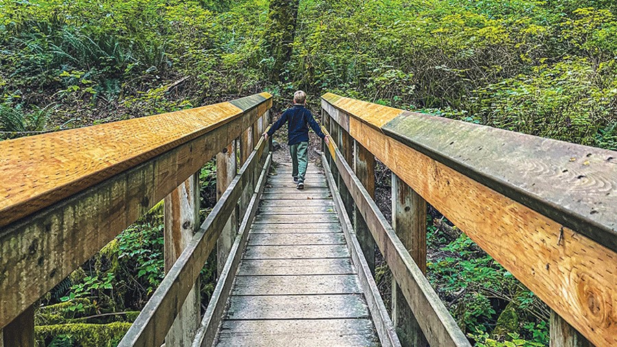 boy crossing the bridge at Evans Creek Preserve, a scenic hike for Seattle families