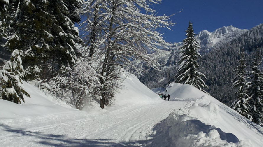 summit snoqualmie