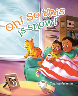 This is snow book cover