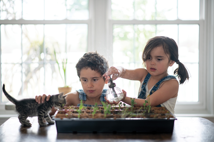 kids watering indoor seedlings 