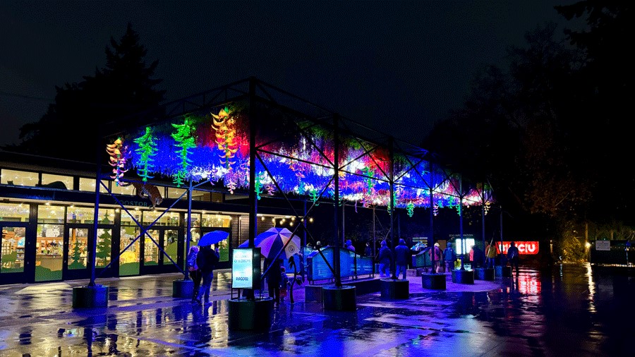 Woodland Park Zoo west entrance display of hanging flowers for WildLanterns 2024