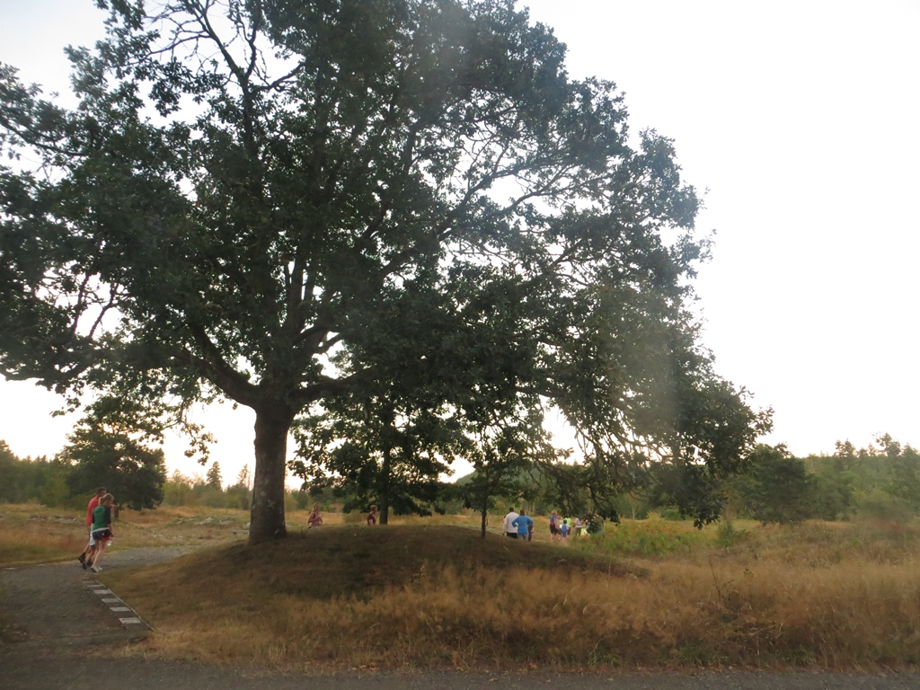 Mima mounds and trails in the prairie restoration area are free and open to the public even when daily tours aren’t scheduled. Photo: Wolf Haven International