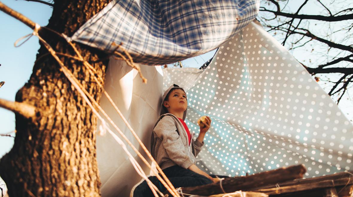 boy in a tree shelter with blankets