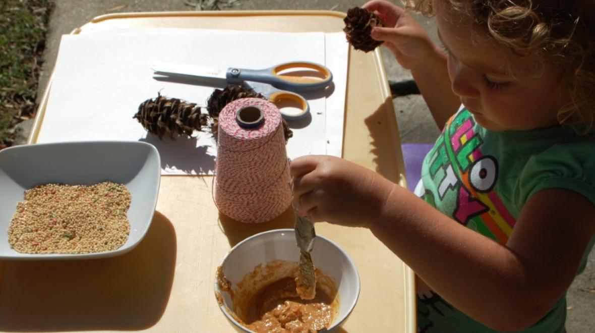 bird feeder peanut butter craft