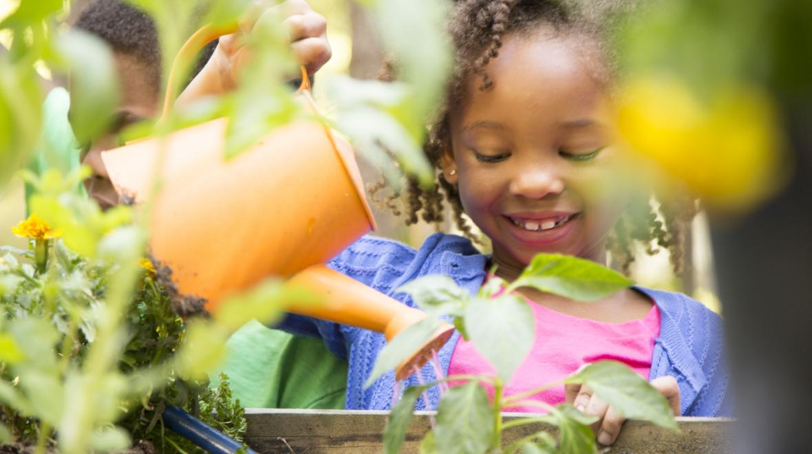 little girl watering plants with a watering can