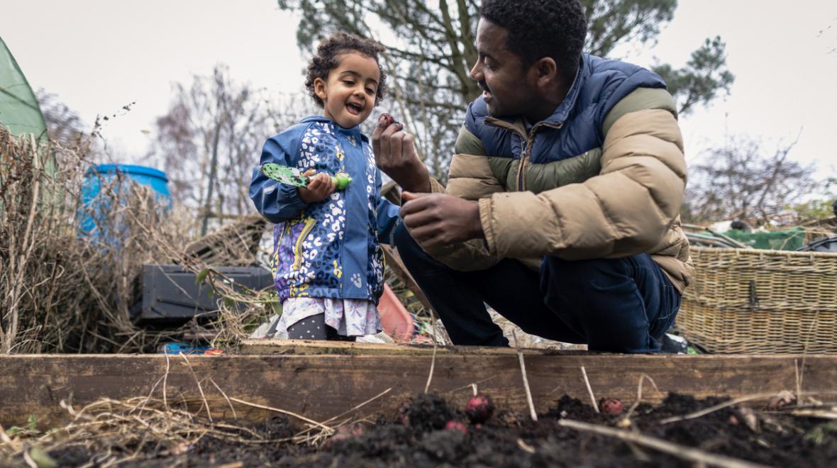 Father and young child working in a garden bed together