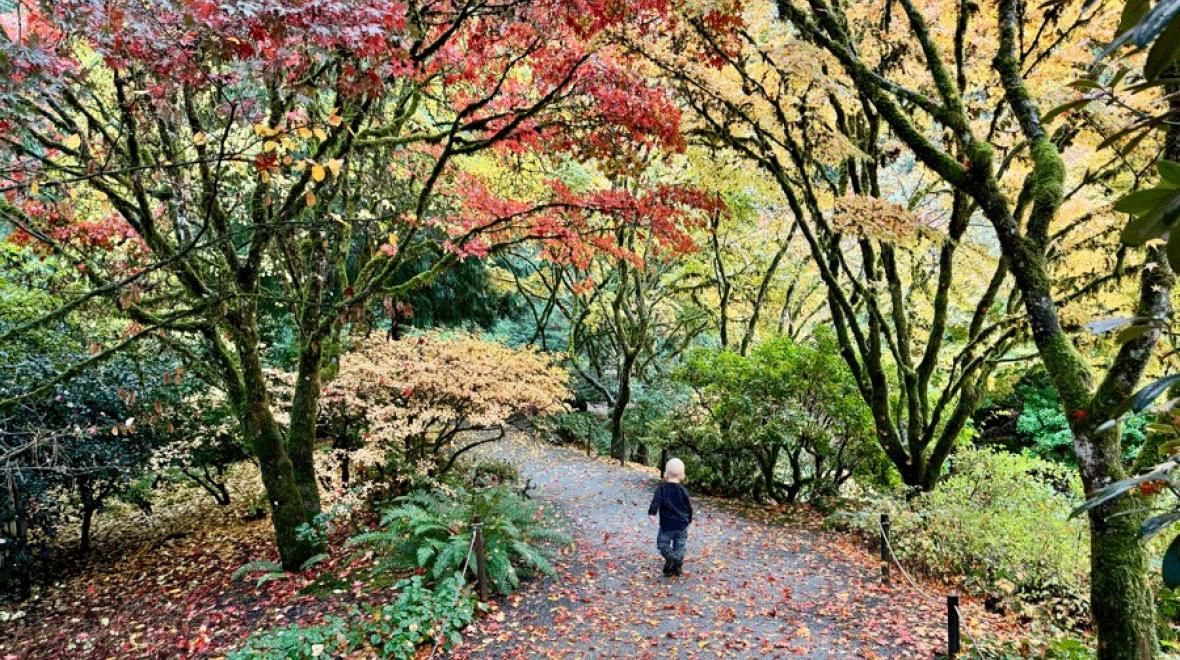 Young child walking along a nature trail at Bellevue Botanical Garden, a nearby nature walk for Eastside and Seattle families